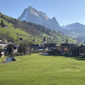 Ausblick von der Praxis
